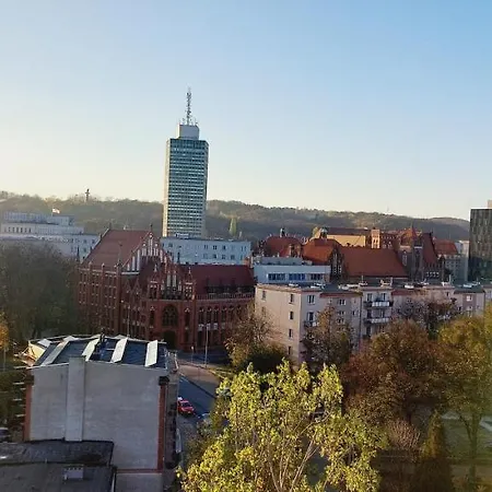 Central View Apartament *